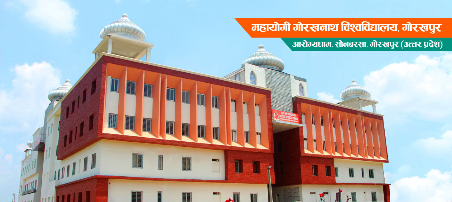 MAHAYOGI GORAKHNATH UNIVERSITY GORAKHPUR Graphics